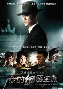 我的绝密生涯电视剧,揭秘特工风云