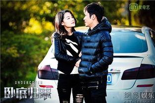 卧底归来电视剧,生死较量，揭秘卧底传奇
